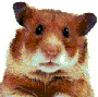 Benutzeravatar